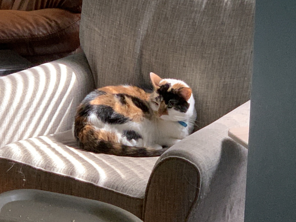 Esther