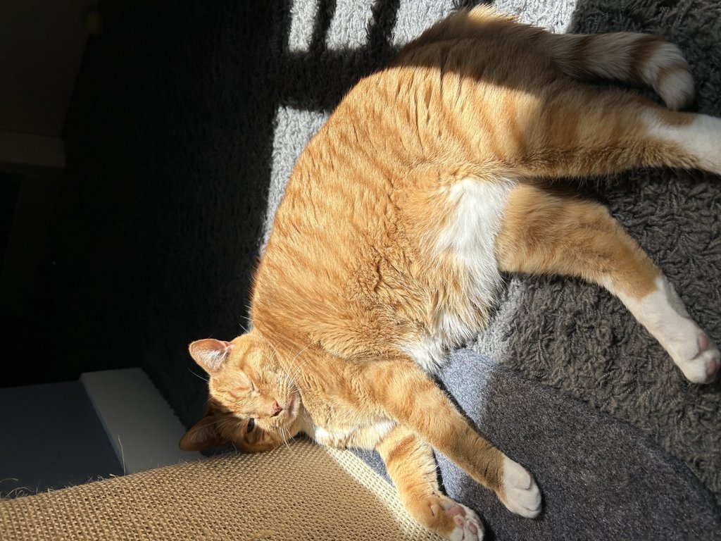 Sidney