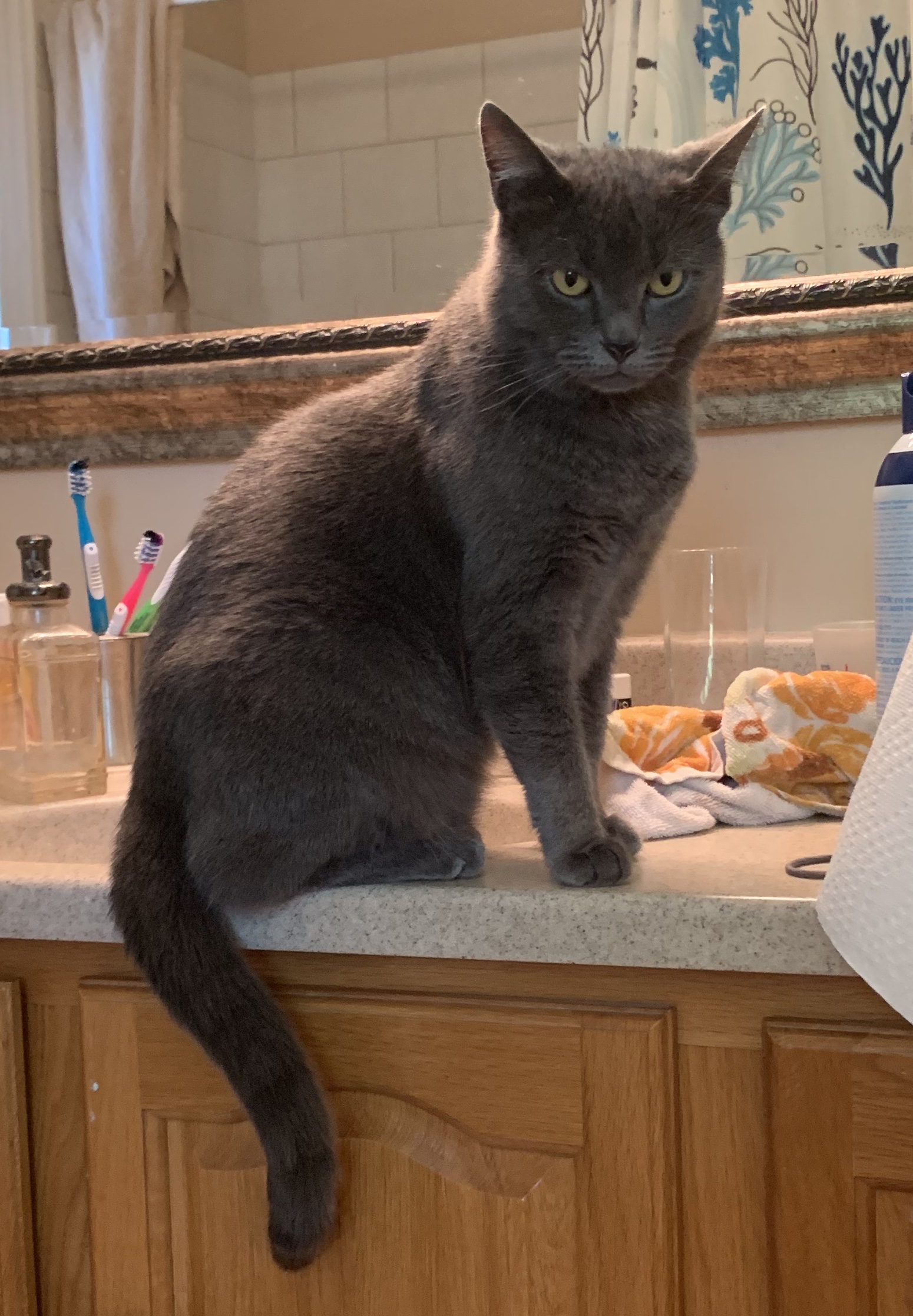 Greta